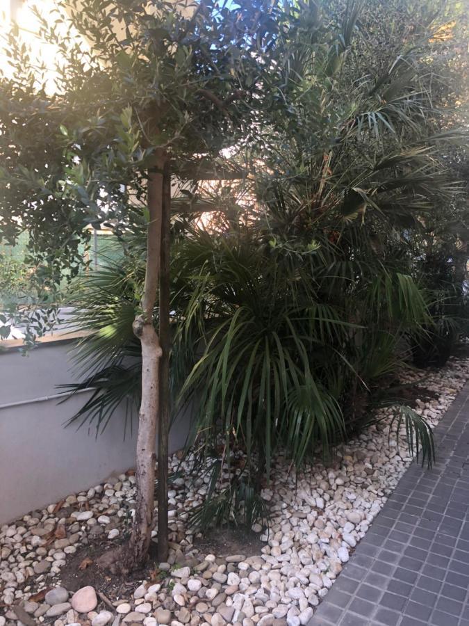 A Casa Minerva Apartment Rimini Exterior foto